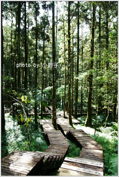 明池國家森林遊樂區:宜蘭「明池森林遊樂區」好山好水好風景