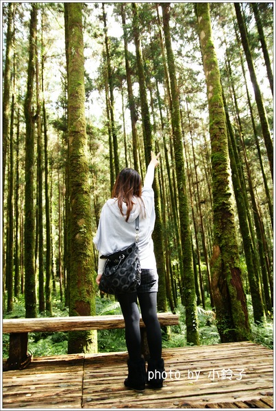 明池國家森林遊樂區:宜蘭「明池森林遊樂區」好山好水好風景