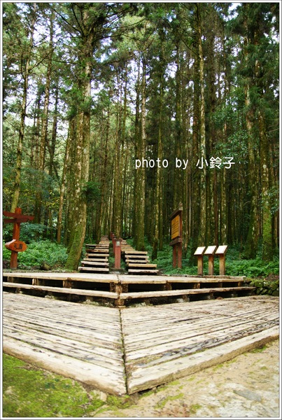 明池國家森林遊樂區:宜蘭「明池森林遊樂區」好山好水好風景