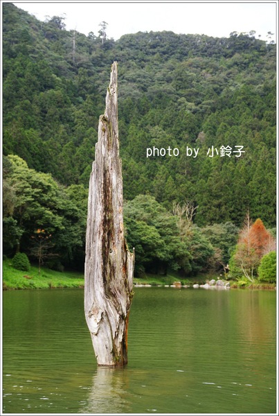 明池國家森林遊樂區:宜蘭「明池森林遊樂區」好山好水好風景