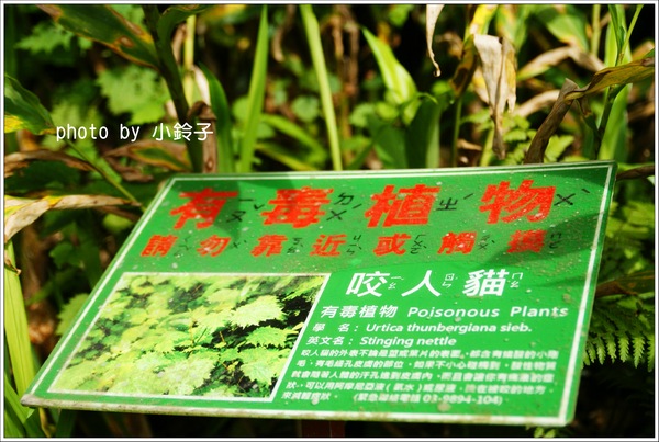 明池國家森林遊樂區:宜蘭「明池森林遊樂區」好山好水好風景