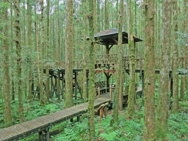 【宜蘭旅遊】明池國家森林遊樂區-流連忘返的美景