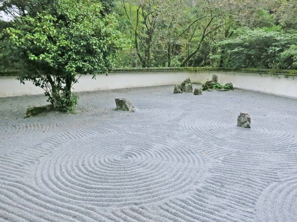 【宜蘭旅遊】明池國家森林遊樂區-流連忘返的美景