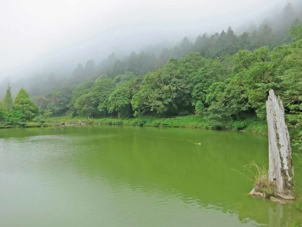 【宜蘭旅遊】明池國家森林遊樂區-流連忘返的美景