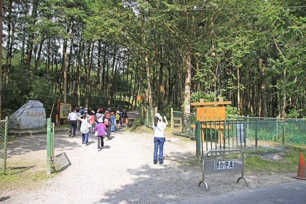 【桃園旅遊】明池山莊森林遊樂區-夏日登高避暑的最佳去處