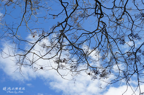 明池森林遊樂區