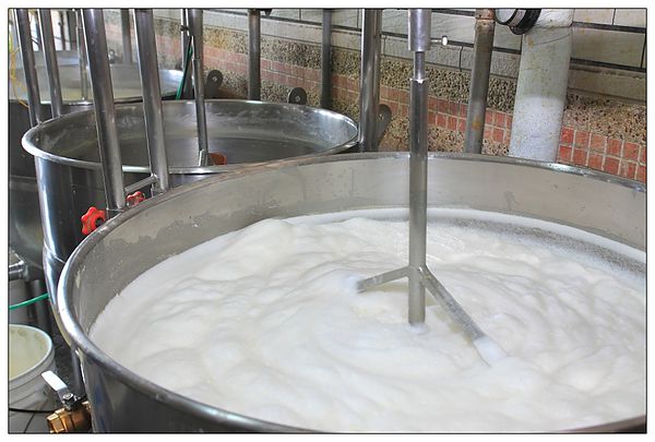 煮豆未放消泡劑