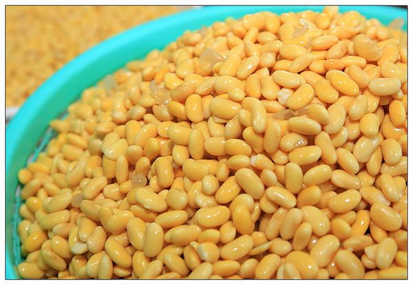 清洗後的黃豆