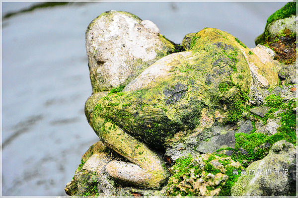 林本源園邸林家花園:【新北】板橋區。林本源園邸 (板橋林家花園)