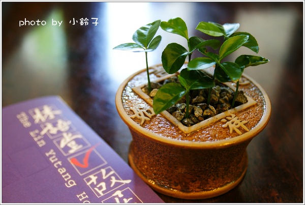 林語堂故居-有不為齋餐廳:「林語堂故居」有不為齋之旅