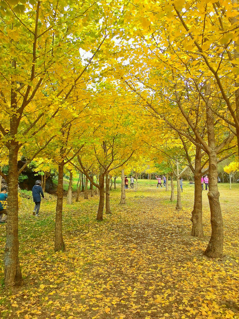 P_20161202_130604_1_p_1