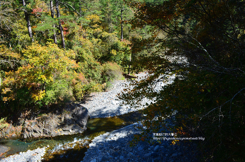 武陵&福壽山 589_副本.jpg