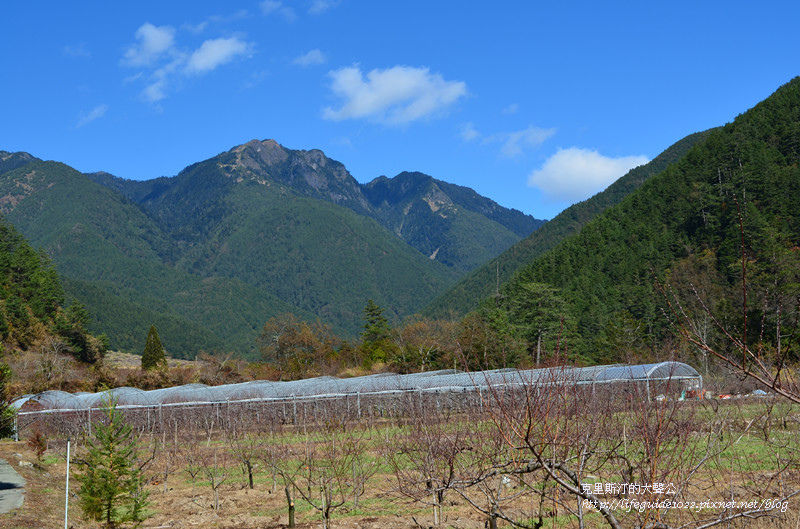 武陵&福壽山 500_副本.jpg