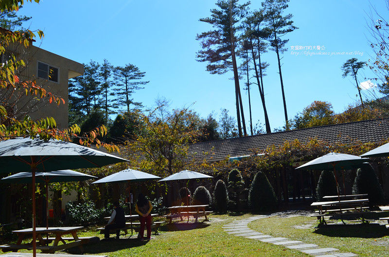 武陵&福壽山 546_副本.jpg