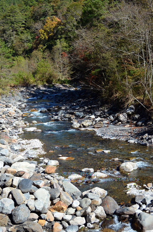 武陵&福壽山 496_副本.jpg