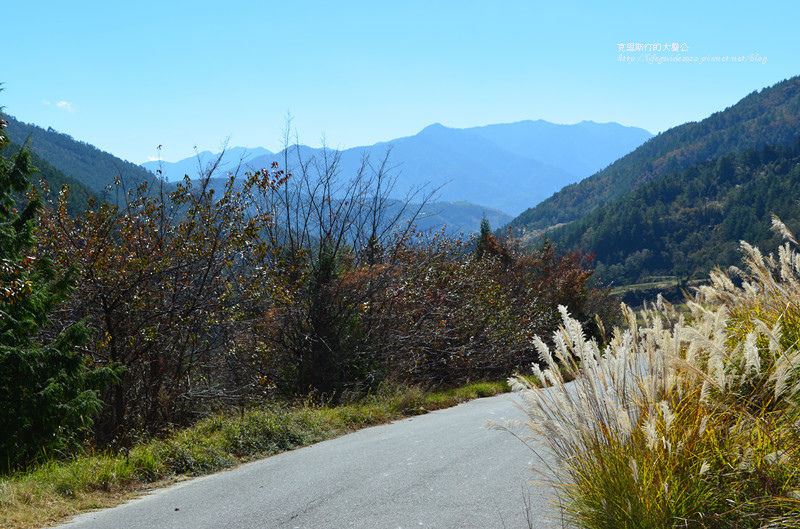 武陵&福壽山 538_副本.jpg