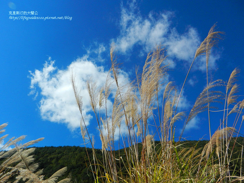 武陵&福壽山 1370_副本.jpg