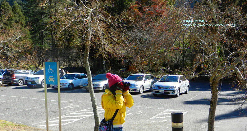 武陵&福壽山 1336_副本.jpg