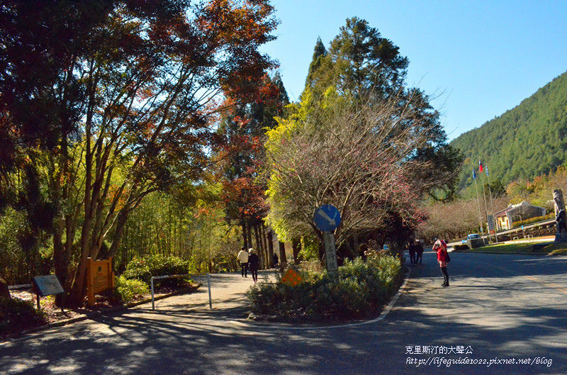 武陵&福壽山 393_副本.jpg