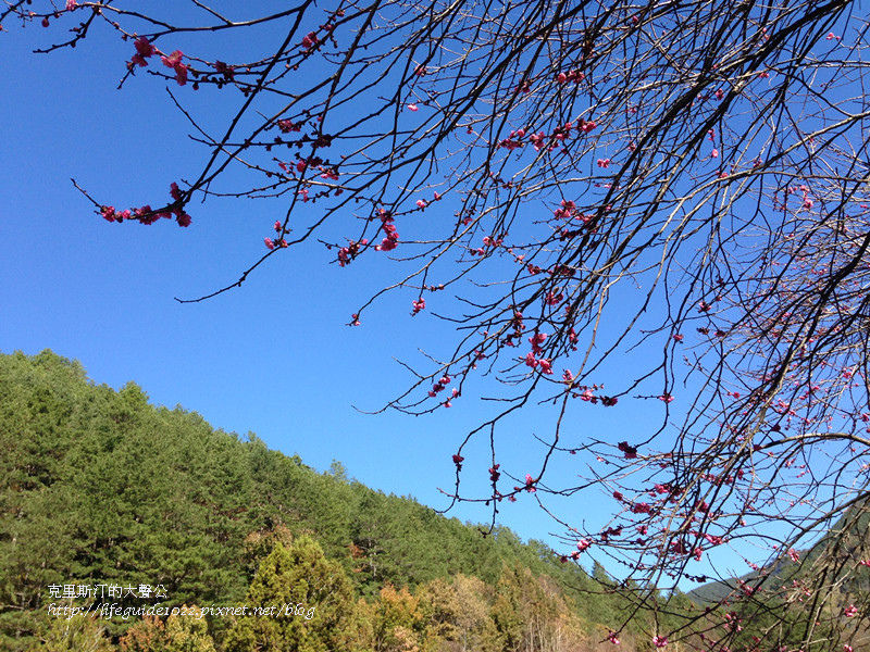 武陵&福壽山 1927_副本.jpg