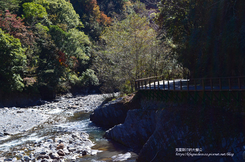 武陵&福壽山 473_副本.jpg