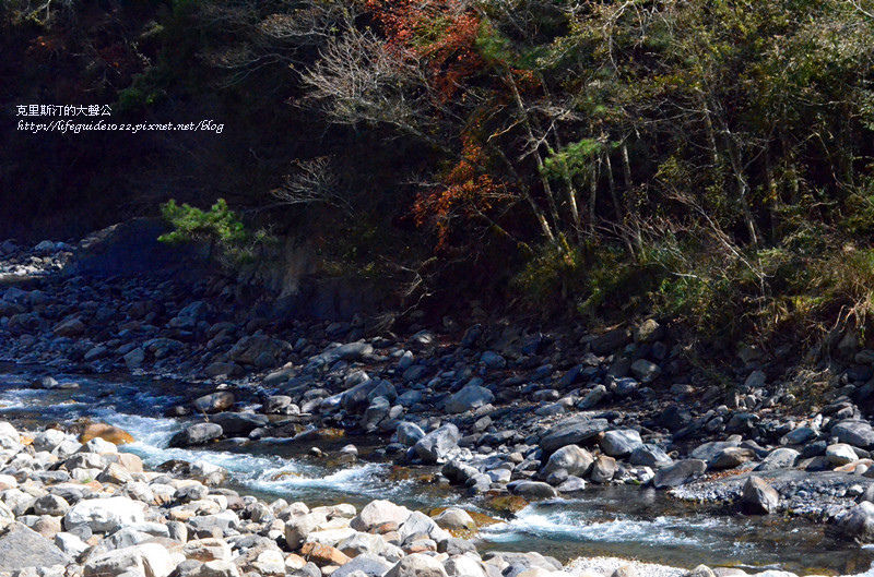 武陵&福壽山 476_副本.jpg