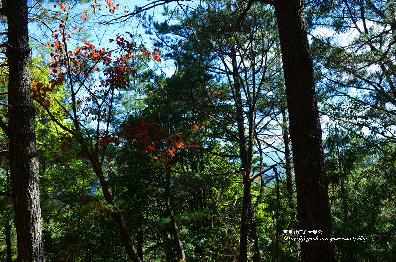 武陵&福壽山 713_副本.jpg