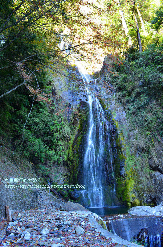 武陵&福壽山 770_副本.jpg