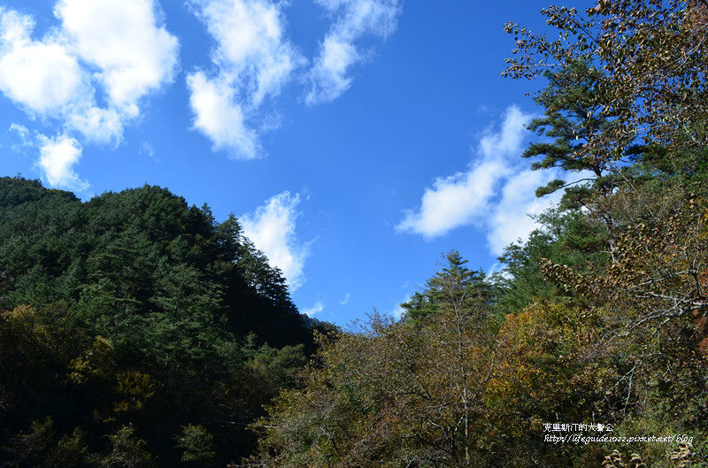 武陵&福壽山 594_副本.jpg