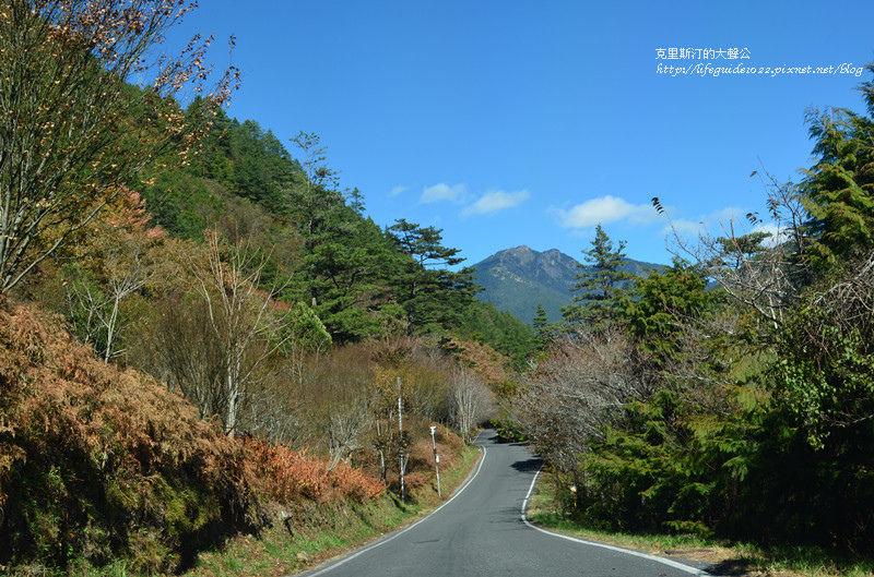 武陵&福壽山 470_副本.jpg