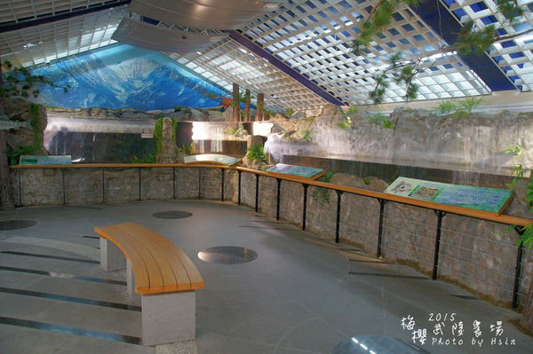 武陵紅白梅山櫻花2015