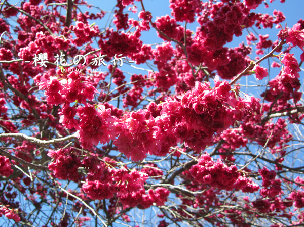 螢幕快照 2014-02-10 下午1.44.03.png