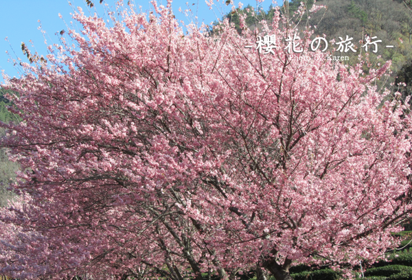 螢幕快照 2014-02-10 下午1.43.01.png