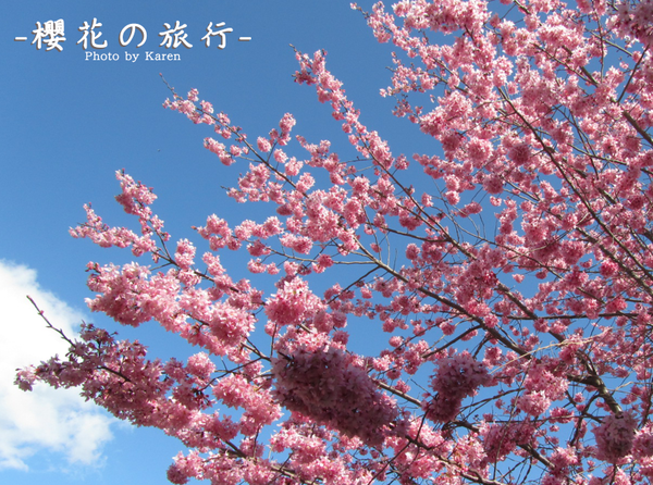 螢幕快照 2014-02-10 下午1.39.08.png