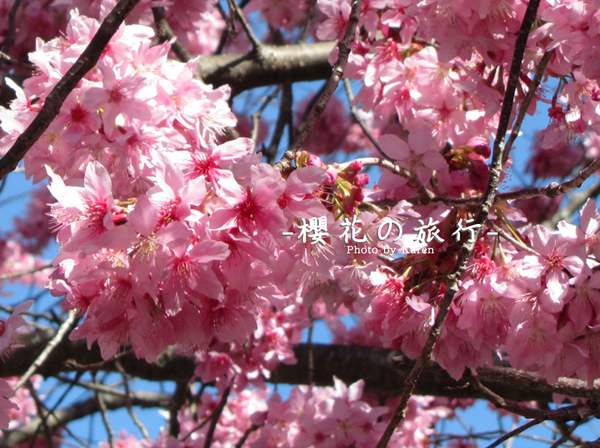 螢幕快照 2014-02-10 下午1.36.02.png