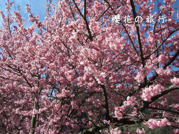 螢幕快照 2014-02-10 下午1.43.18.png