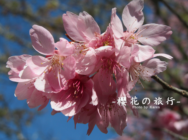 螢幕快照 2014-02-10 下午1.44.22.png