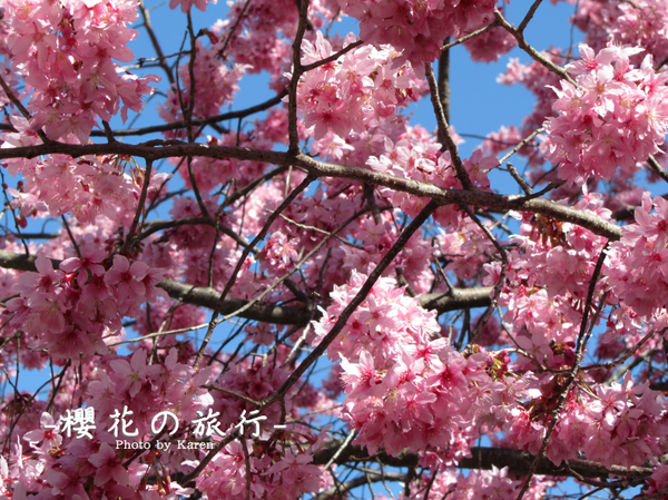 螢幕快照 2014-02-10 下午1.37.24.png