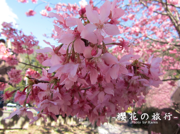 螢幕快照 2014-02-10 下午1.39.35.png