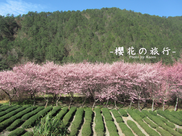 螢幕快照 2014-02-10 下午1.43.39.png