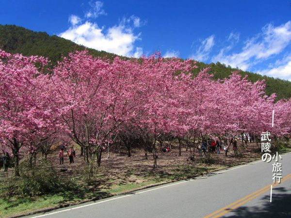 535822_10200346771139559_1429250679_n