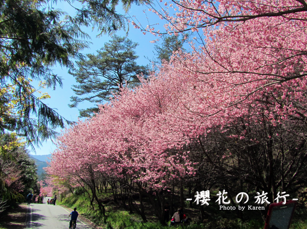 螢幕快照 2014-02-10 下午1.38.34.png