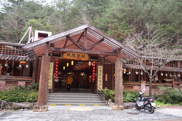 武陵農場(Wuling Farm)：武陵農場・2016年櫻花季