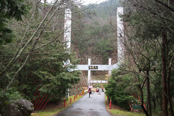 武陵農場(Wuling Farm)：武陵農場・2016年櫻花季