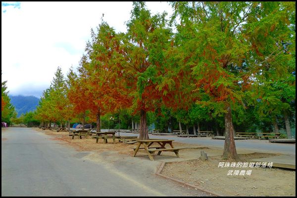 武陵農場86.JPG