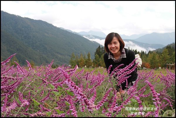 武陵農場48.JPG