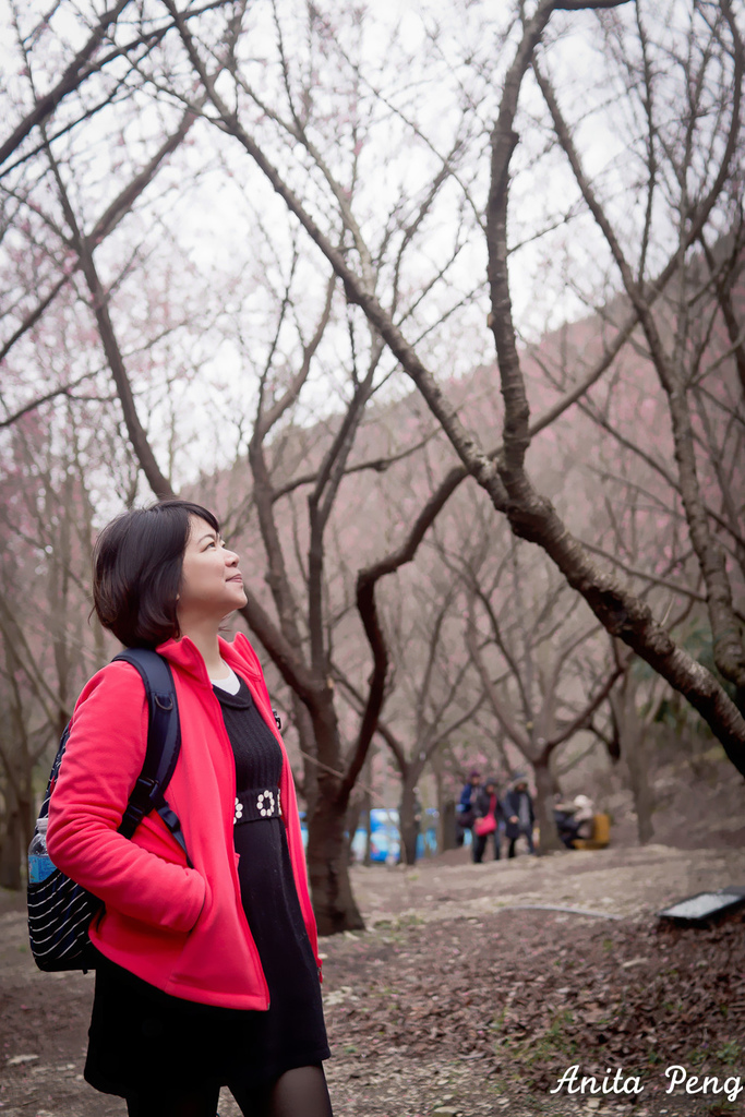 IMG_6113_副本_副本