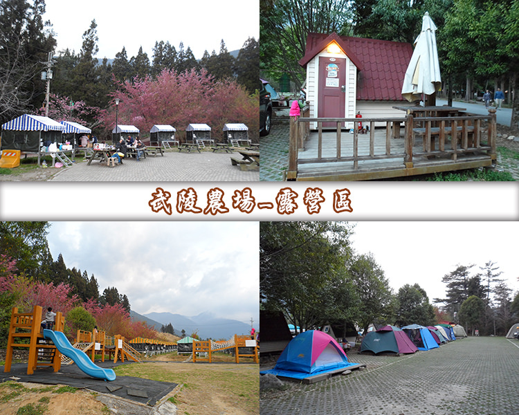 武陵農場露營區1