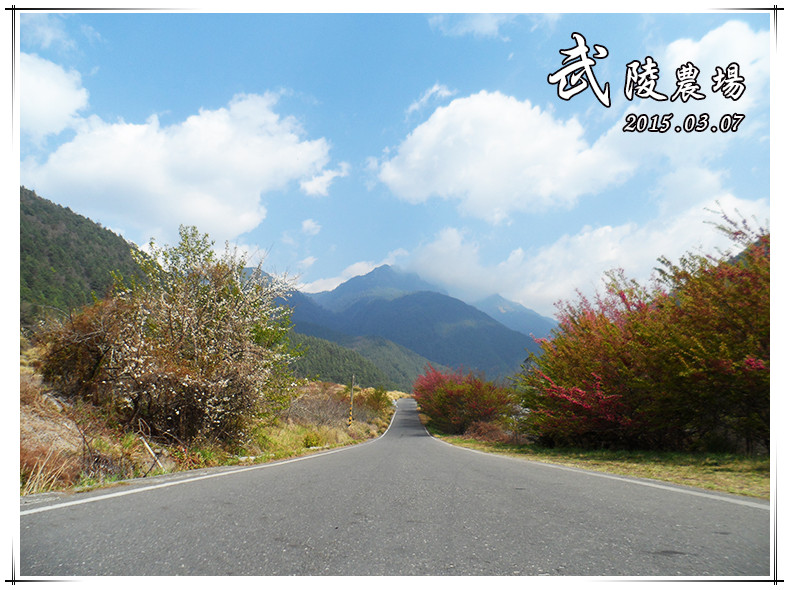 武陵農場1_副本