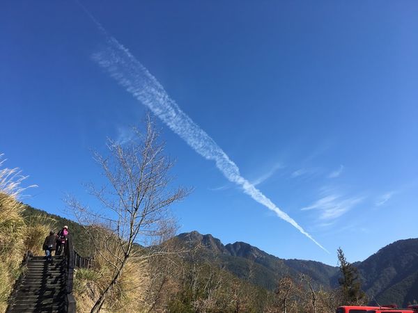 武陵農場(Wuling Farm):✡*台中市-和平區/武陵農場-賞櫻